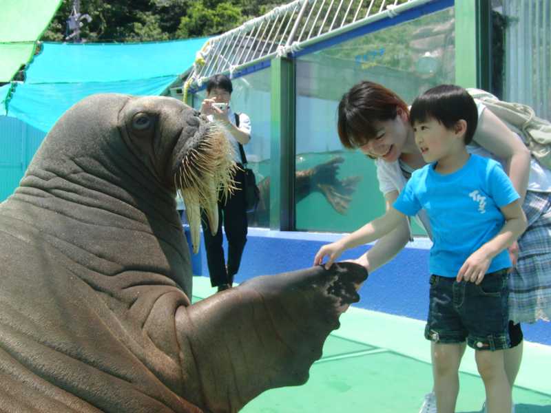 二見シーパラダイス