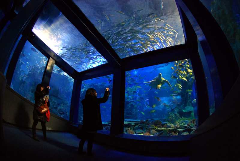 鳥羽水族館